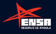 Empresa Nacional de Seguros e Resseguros de Angola