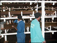 TEA MANUFACTURE IS NOT AN AUTOMATIC PROCESS, IT IS NECESSARY TO SUPERVISE THE PROCESS AT EVERY STAGE FROM THE RECEPTION AREA TO THE PACKING OF THE FINISHED PRODUCT.