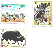 Zebras & Buffalos (Nov. 26, 1984)