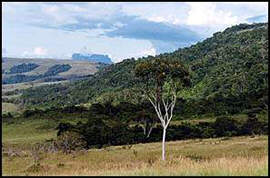 Canaima National Park