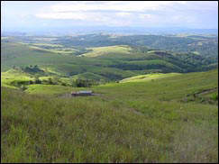 Around la Gran Sabana
